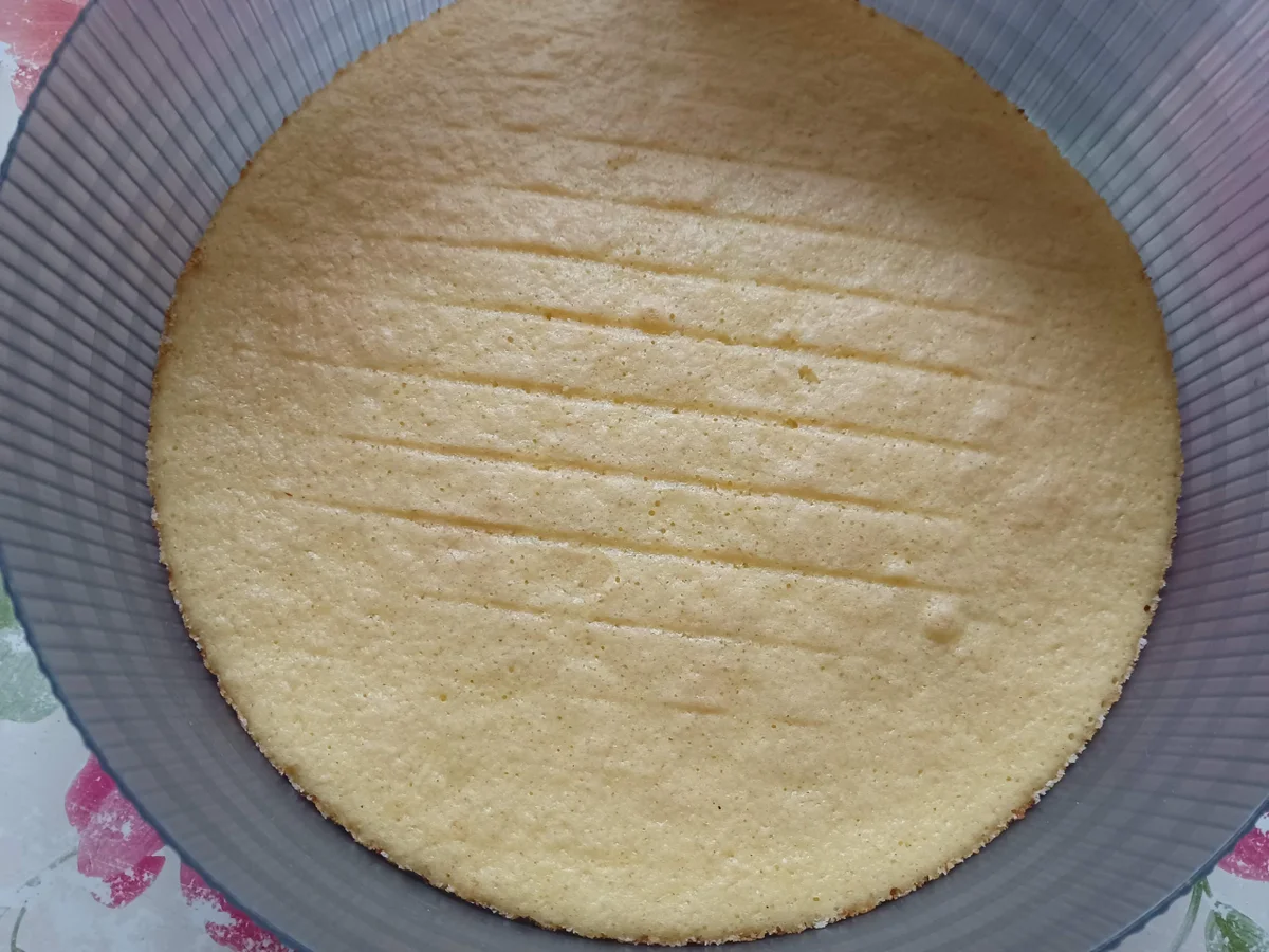 Blaubeerjoghurt - Sahnetorte - Rezept - Bild Nr. 16734