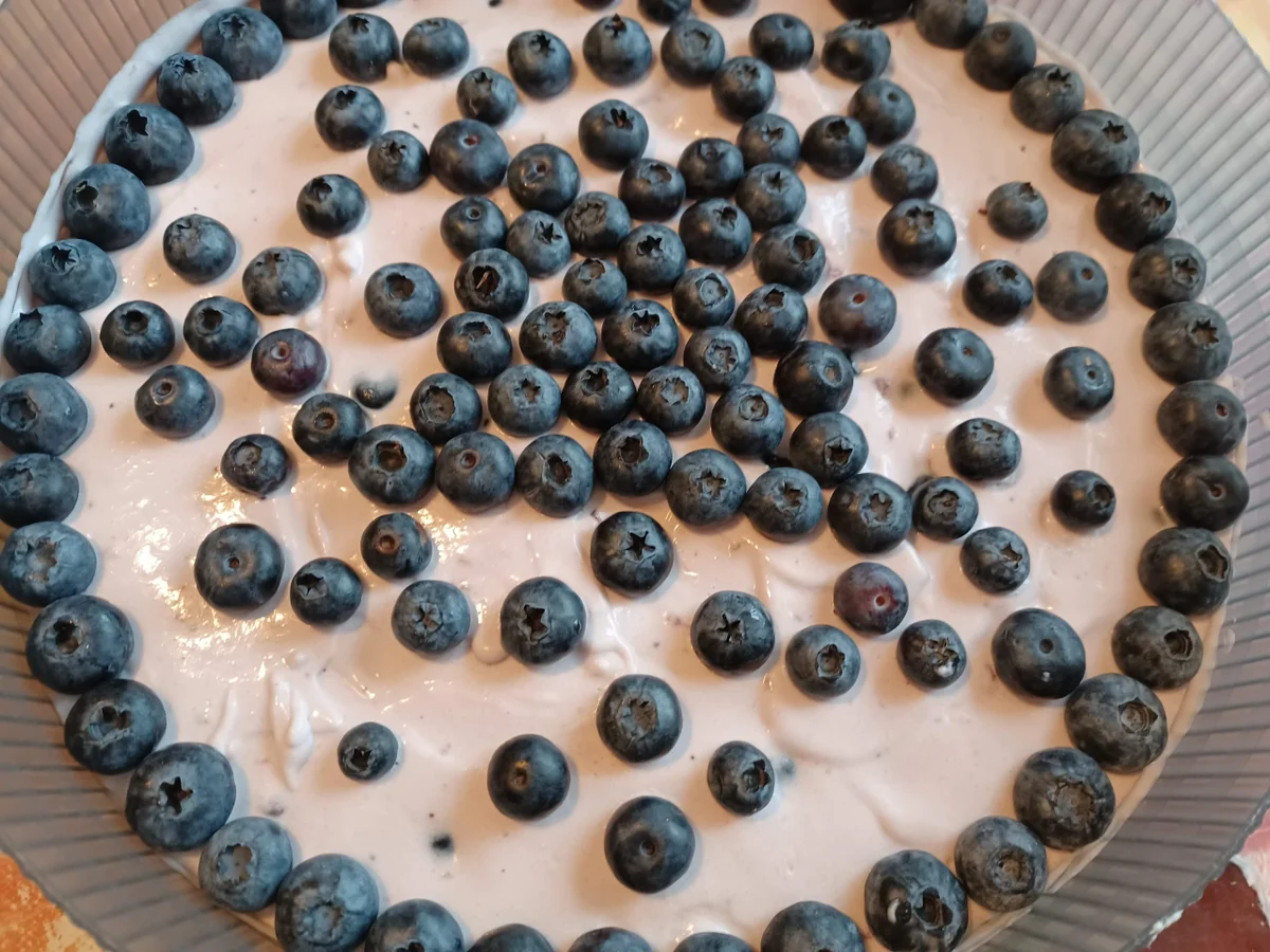 Blaubeerjoghurt - Sahnetorte - Rezept - Bild Nr. 16743