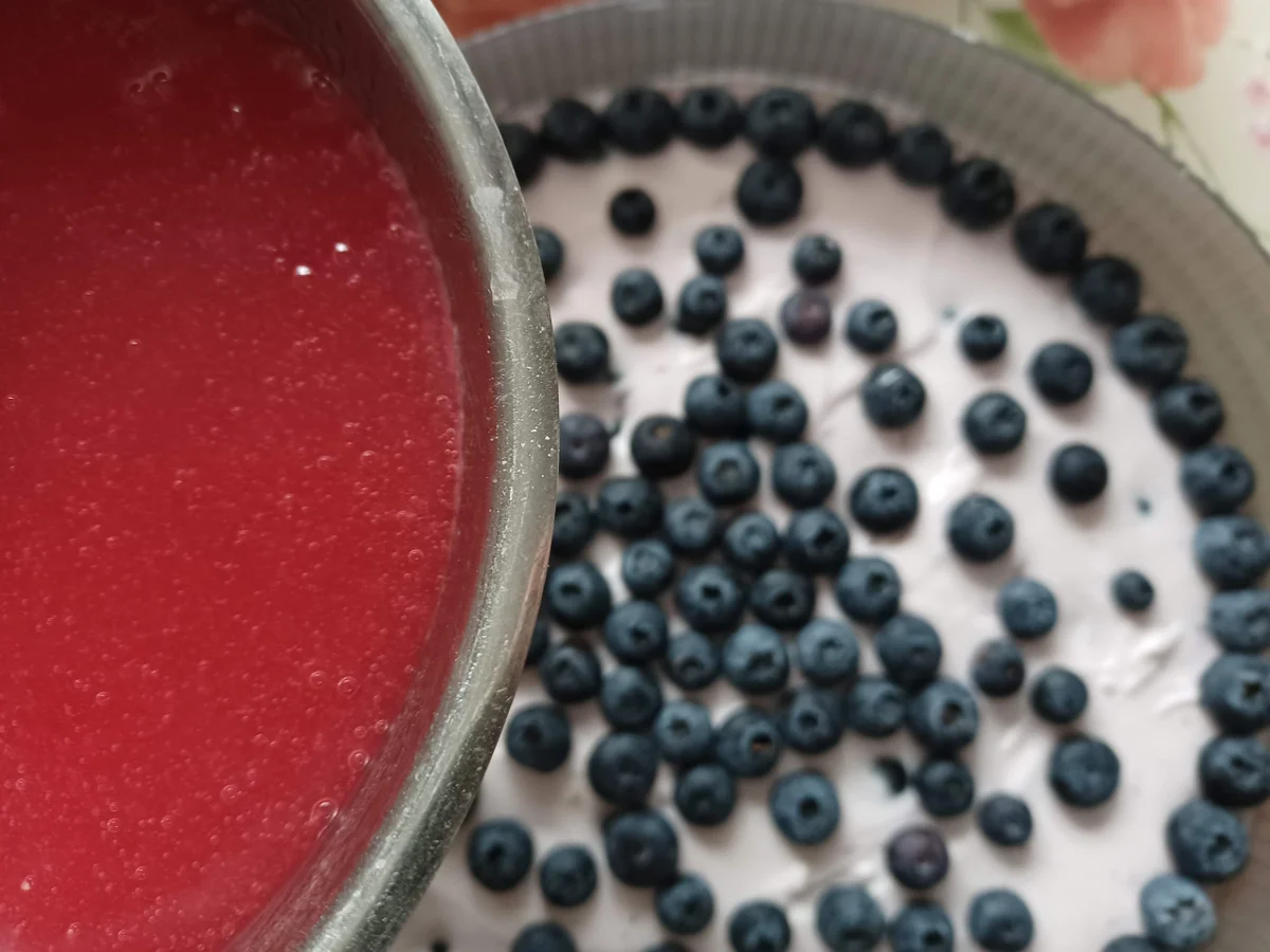 Blaubeerjoghurt - Sahnetorte - Rezept - Bild Nr. 16731