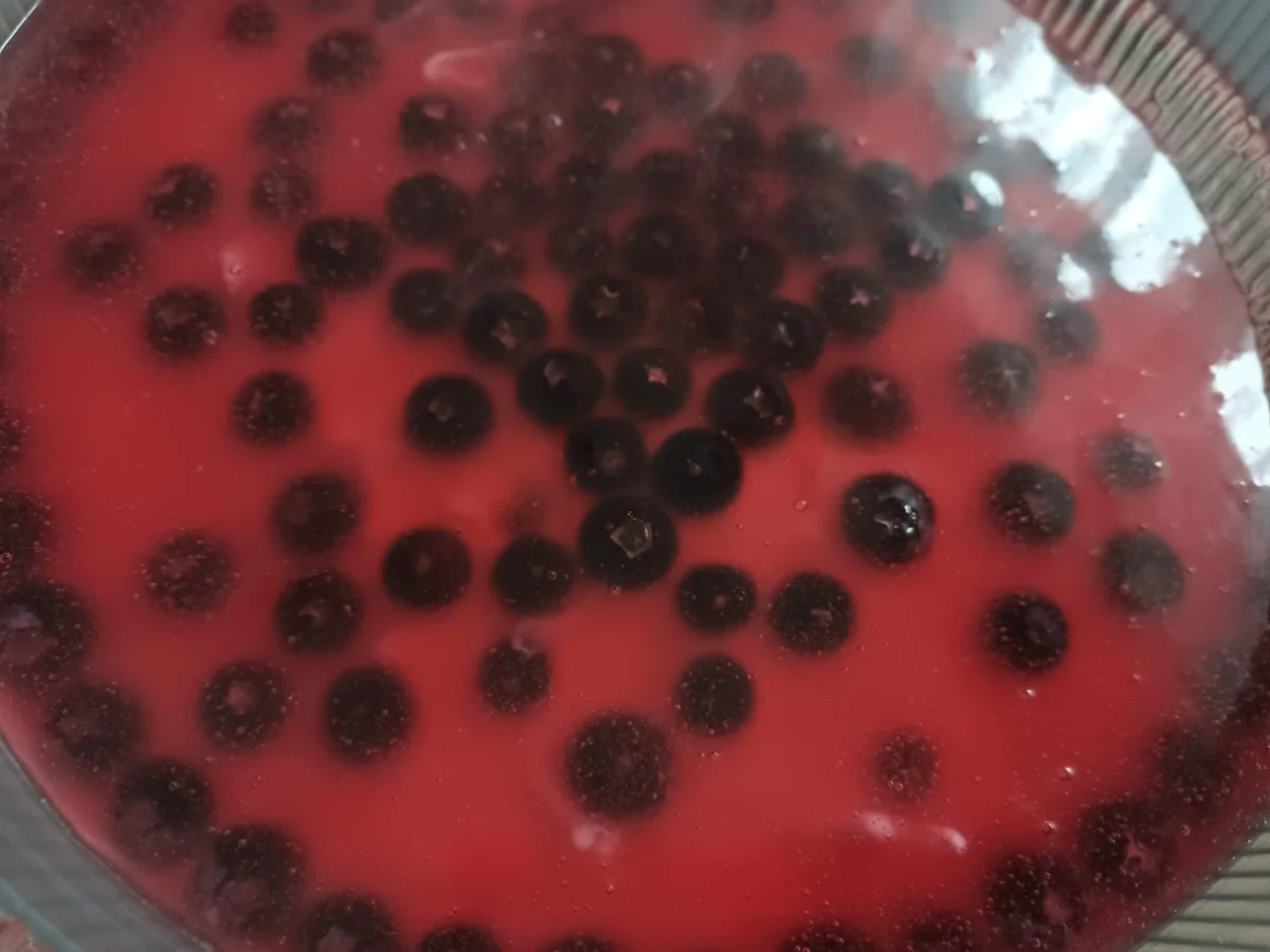 Blaubeerjoghurt - Sahnetorte - Rezept - Bild Nr. 16732