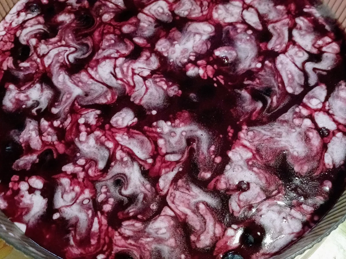 Blaubeersahne - Torte marmoriert - Rezept - Bild Nr. 16736