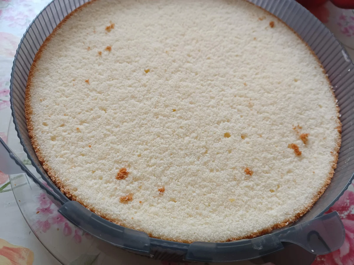 Pfirsich - Joghurt - Sahne - Torte - Rezept - Bild Nr. 16738