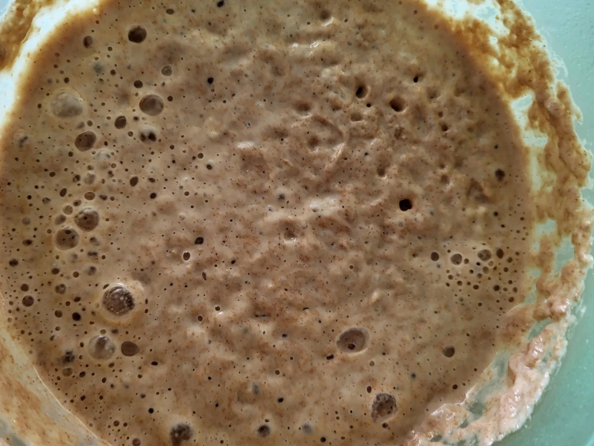 Kürbiskernbrot mit Weizensauerteig - Rezept - Bild Nr. 16734