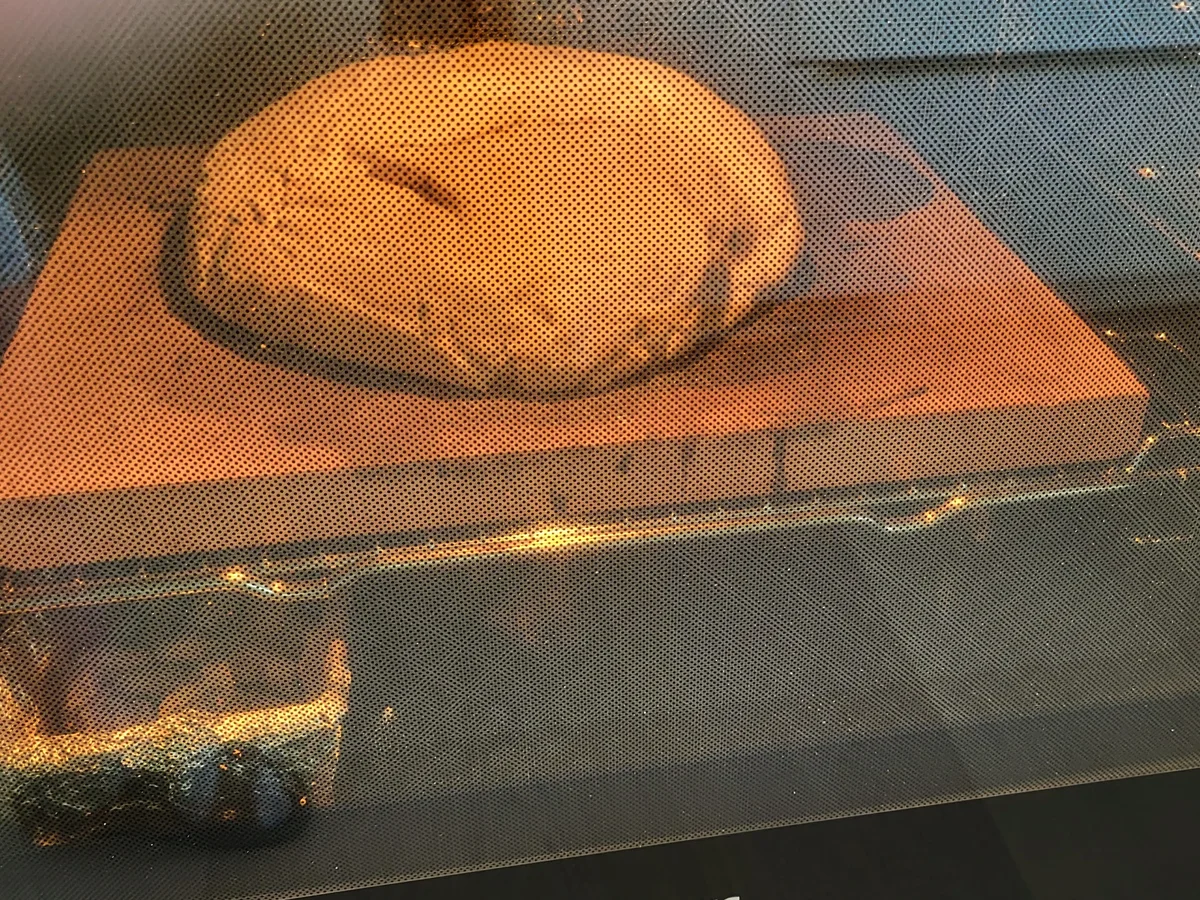 Kürbiskernbrot mit Weizensauerteig - Rezept - Bild Nr. 16736