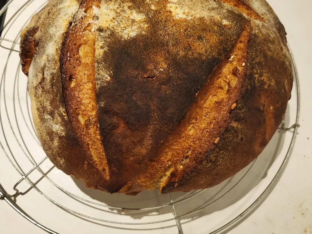 Kürbiskernbrot mit Weizensauerteig - Rezept - Bild Nr. 16738