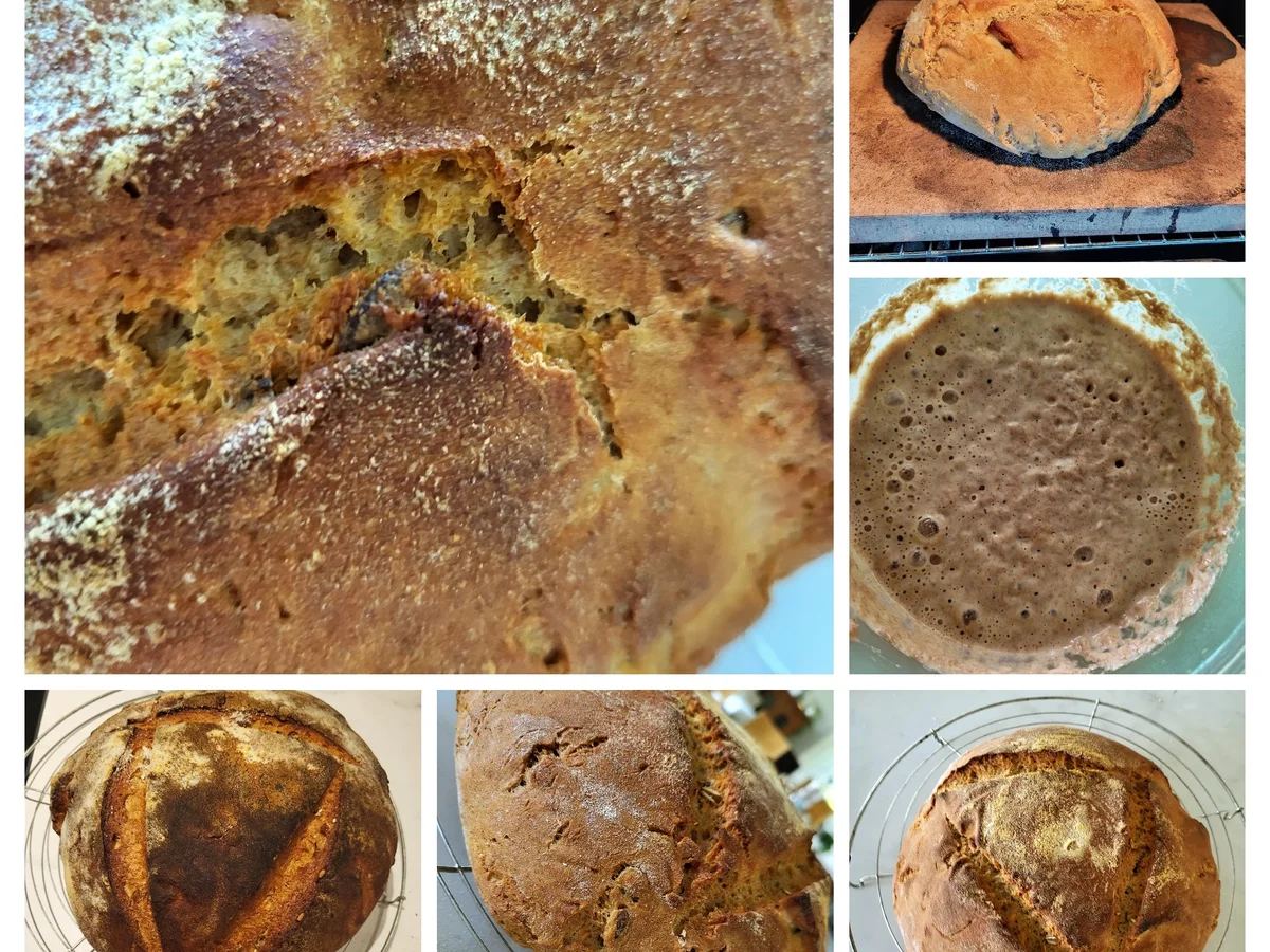 Kürbiskernbrot mit Weizensauerteig - Rezept - Bild Nr. 16741
