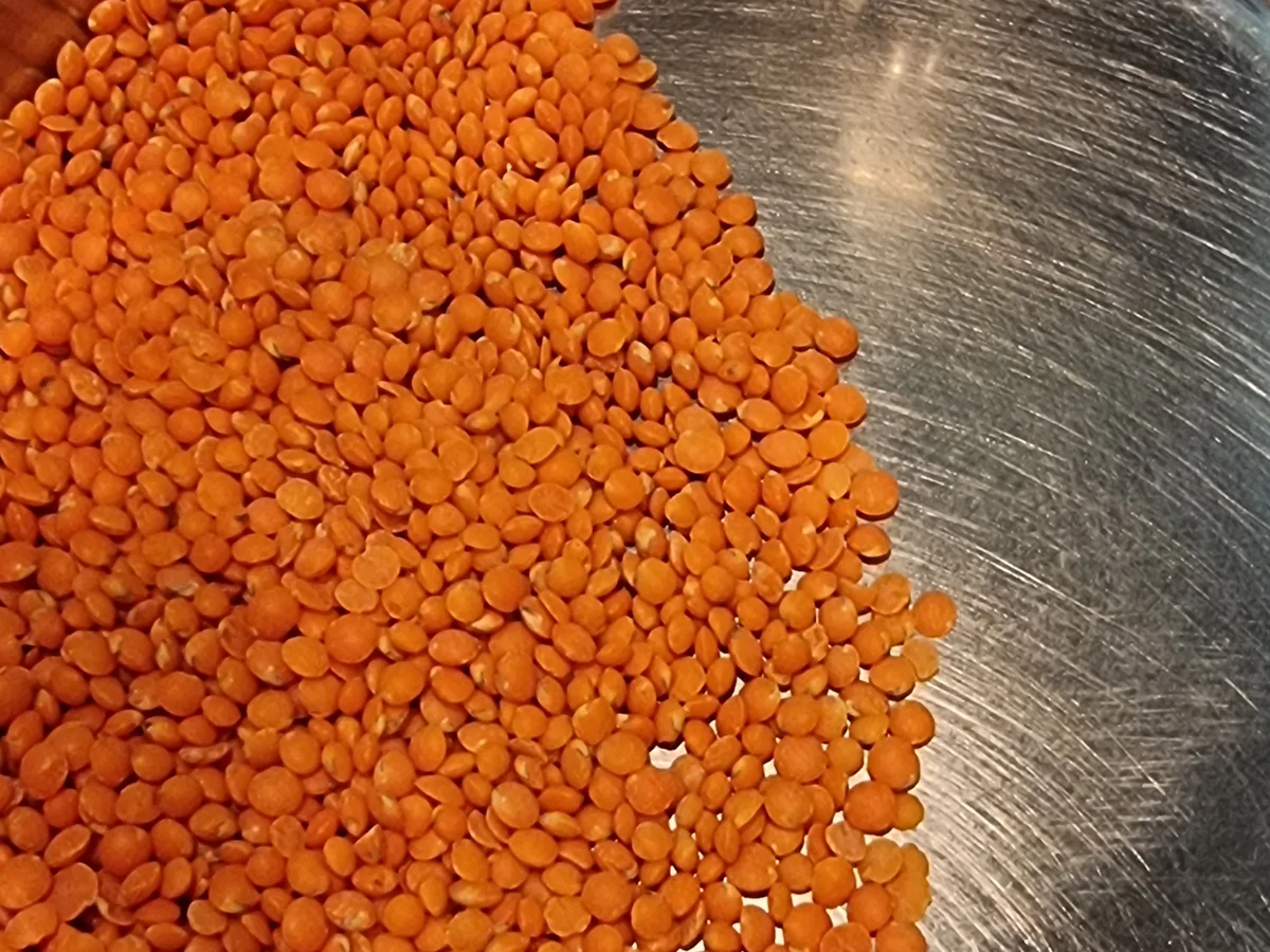 Linsen-Reis-Bratlinge mit Gurkensalat - Rezept - Bild Nr. 16736