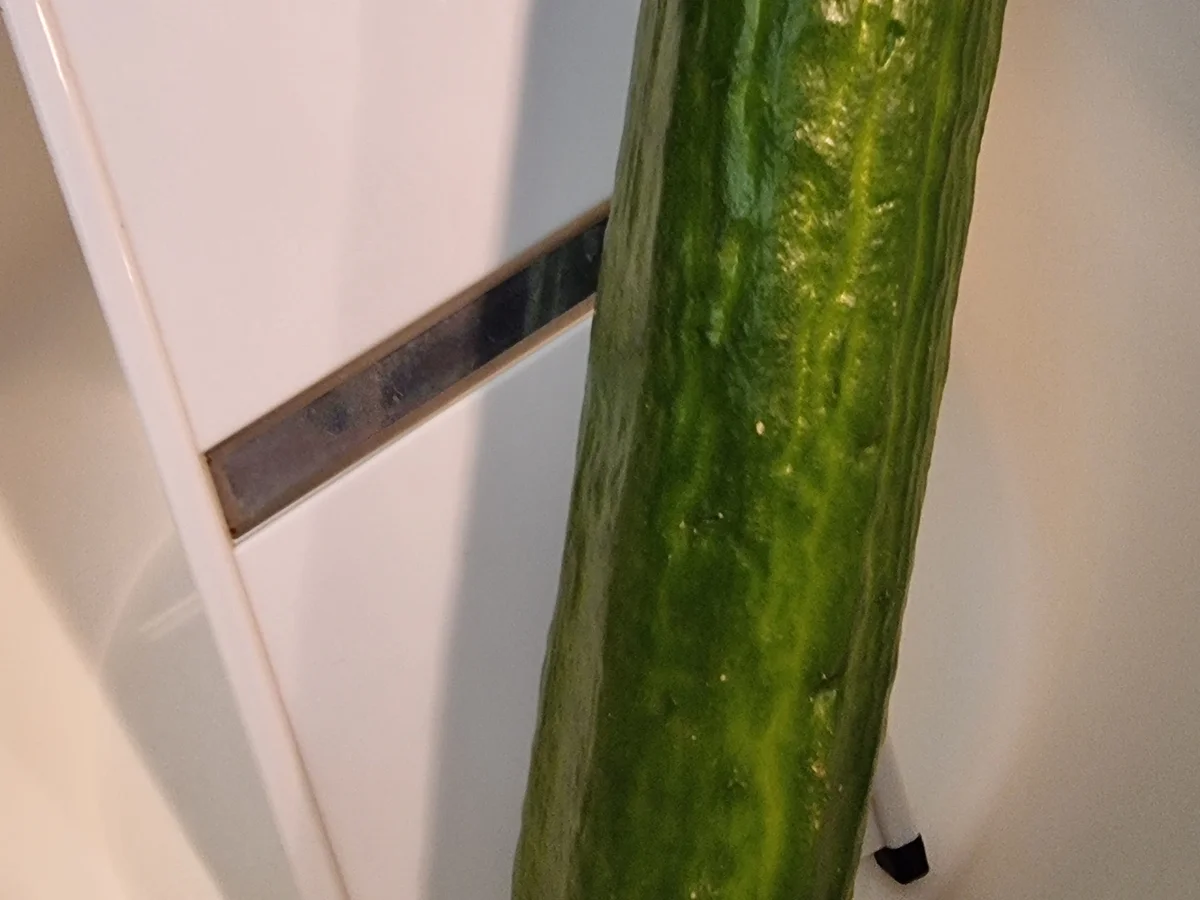 Linsen-Reis-Bratlinge mit Gurkensalat - Rezept - Bild Nr. 16749