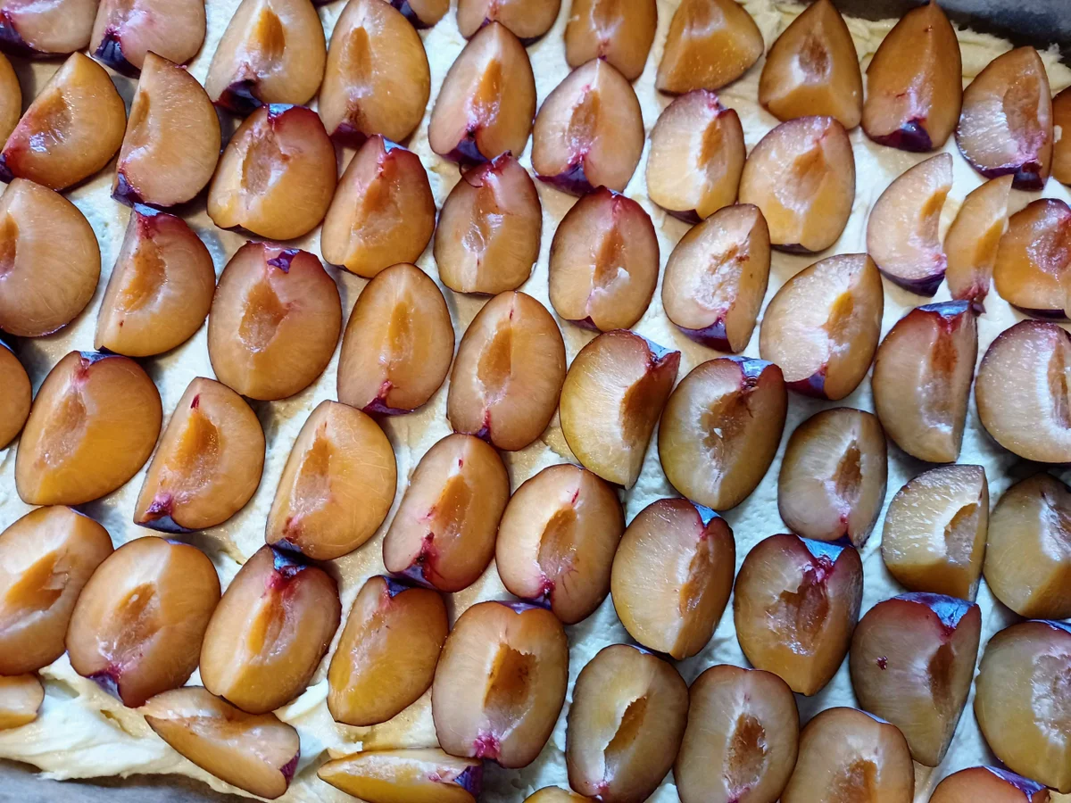 Rezept: Pflaumenkuchen Bild Nr. 16757 Pflaumenkuchen - Rezept - Bild Nr. 16757