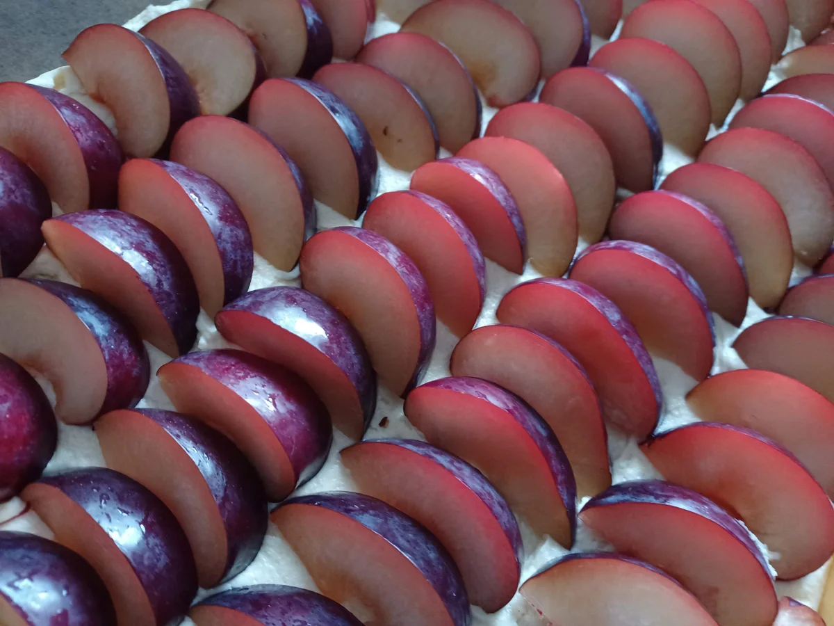 Rezept: Pflaumenkuchen Bild Nr. 16789 Pflaumenkuchen - Rezept - Bild Nr. 16789