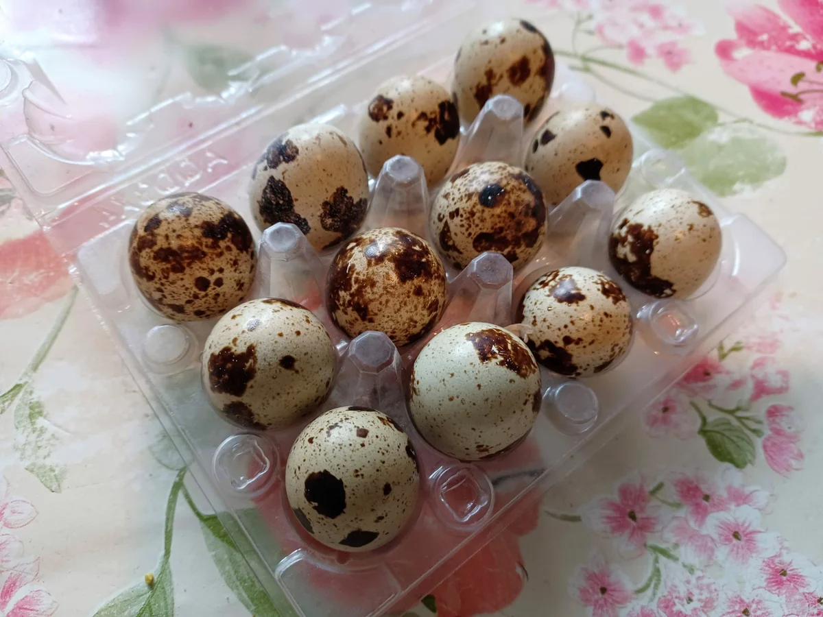 Rezept: Mangold - Brokkoli - Gemüse mit Reis Bild Nr. 16762 Mangold - Brokkoli - Gemüse mit Reis - Rezept - Bild Nr. 16762