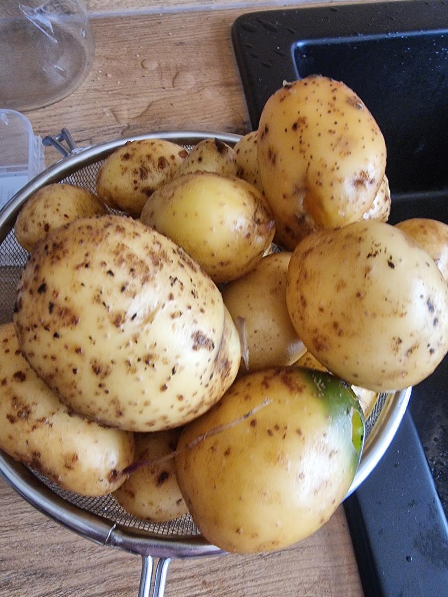 Kartoffel-Lauch-Kuchen - Rezept - Bild Nr. 16756