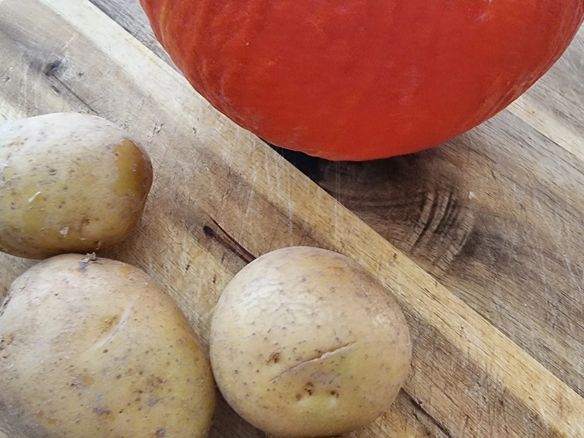 Kürbis-Suppe mit Spinat und Garnelen - Rezept - Bild Nr. 16758