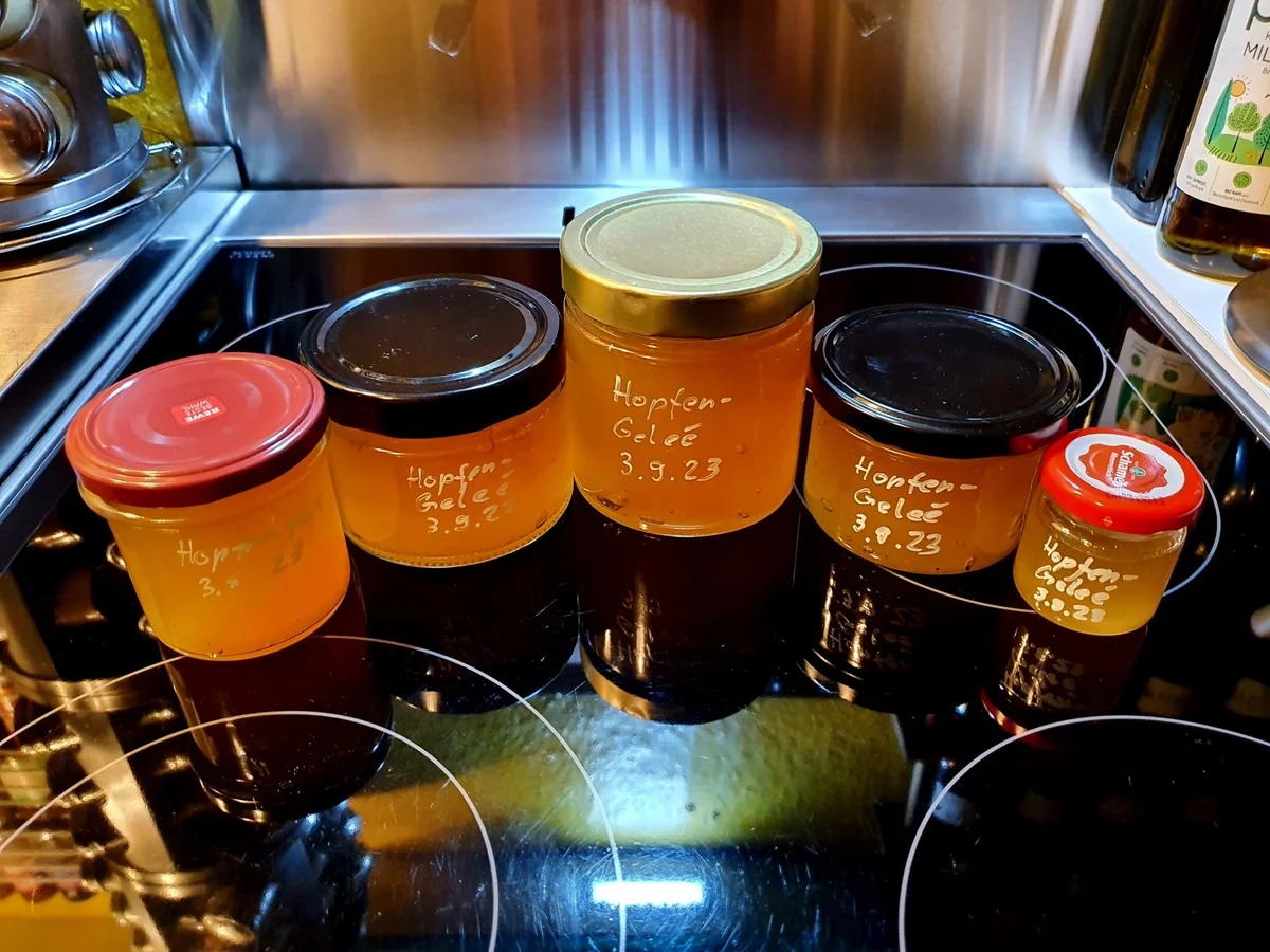 Hopfengelee - Rezept - Bild Nr. 16751