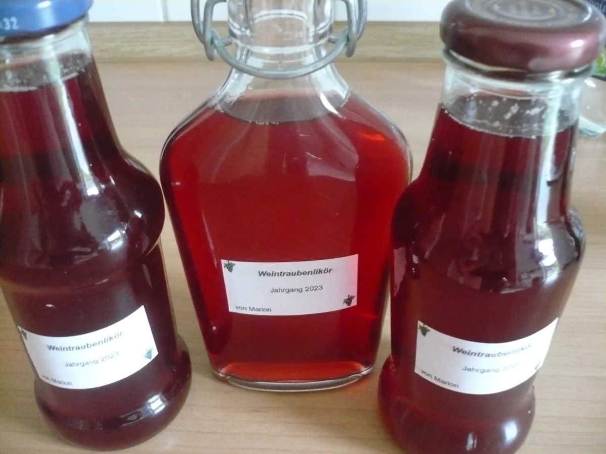 Weintrauben - Likör - Rezept - Bild Nr. 16758