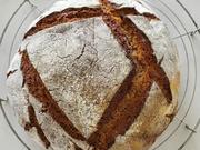 Weizensauerteigbrot mit Sesam - Rezept - Bild Nr. 2