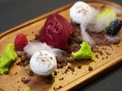Köthenwald wolkig mit Magic Mushroom und Fruchtsorbet - Rezept - Bild Nr. 16752
