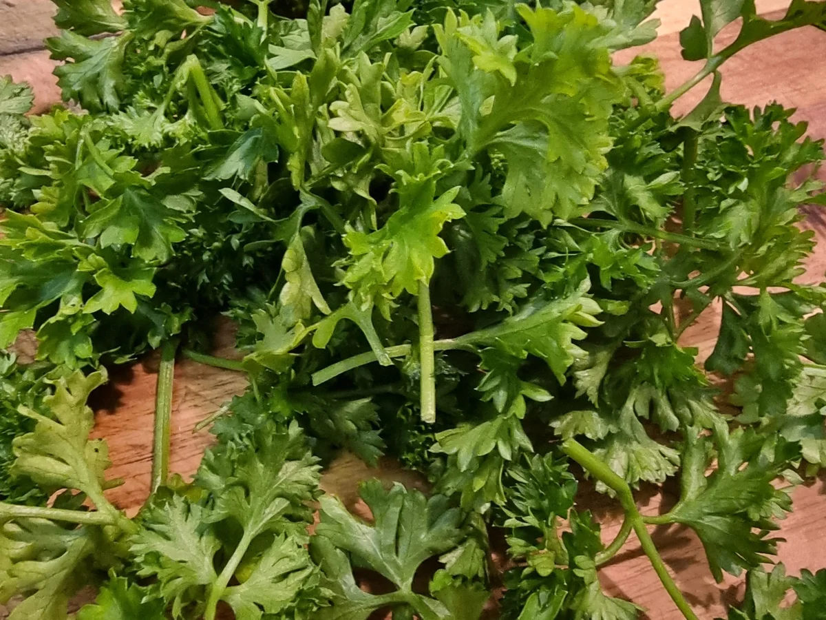 Süßkartoffel-Garnelen-Quiche - Rezept - Bild Nr. 16769