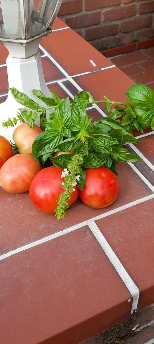Tomaten-Basilikum-Süppchen - Rezept - Bild Nr. 16765
