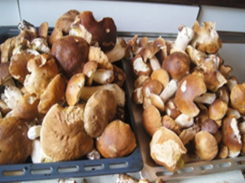 Rezept: Steinpilzgulasch Bild Nr. 3 Steinpilzgulasch - Rezept - Bild Nr. 3