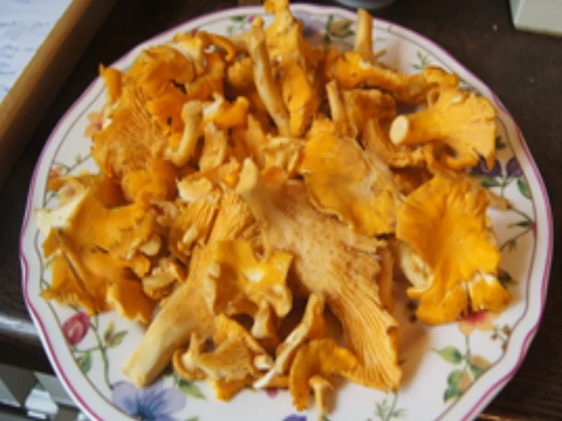 Rezept: Fischfilet mit Rahm-Pfifferlingen und Drillingen Bild Nr. 4 Fischfilet mit Rahm-Pfifferlingen und Drillingen - Rezept - Bild Nr. 4