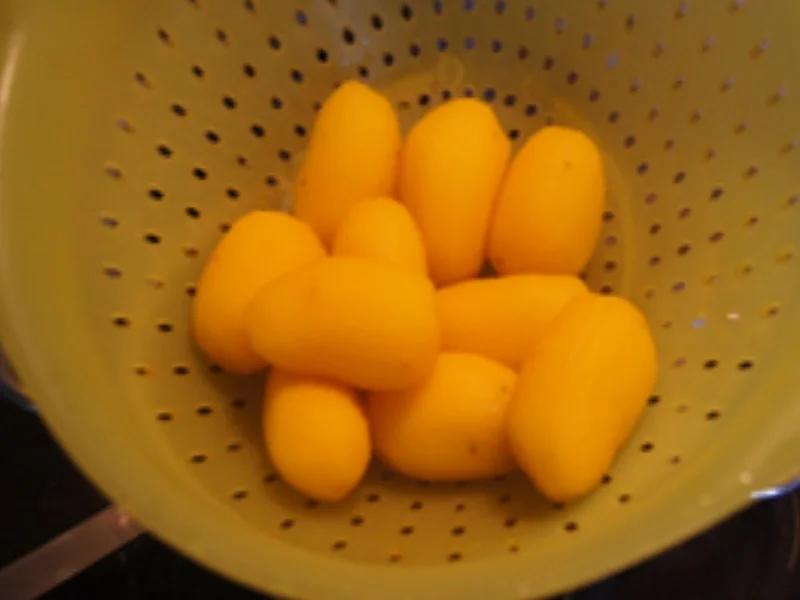 Rezept: Fischfilet mit Rahm-Pfifferlingen und Drillingen Bild Nr. 17 Fischfilet mit Rahm-Pfifferlingen und Drillingen - Rezept - Bild Nr. 17