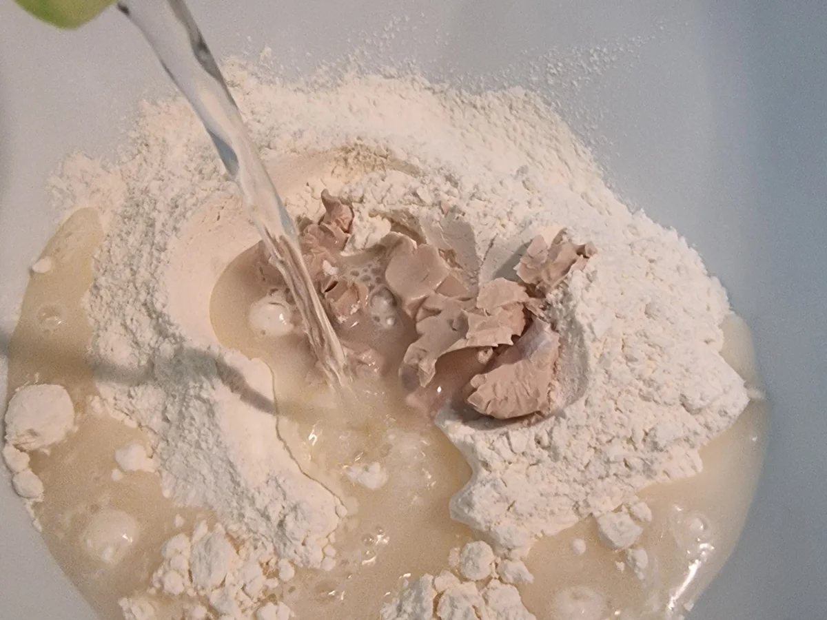 Calzone mit Champignos und Schinken - Rezept - Bild Nr. 16781