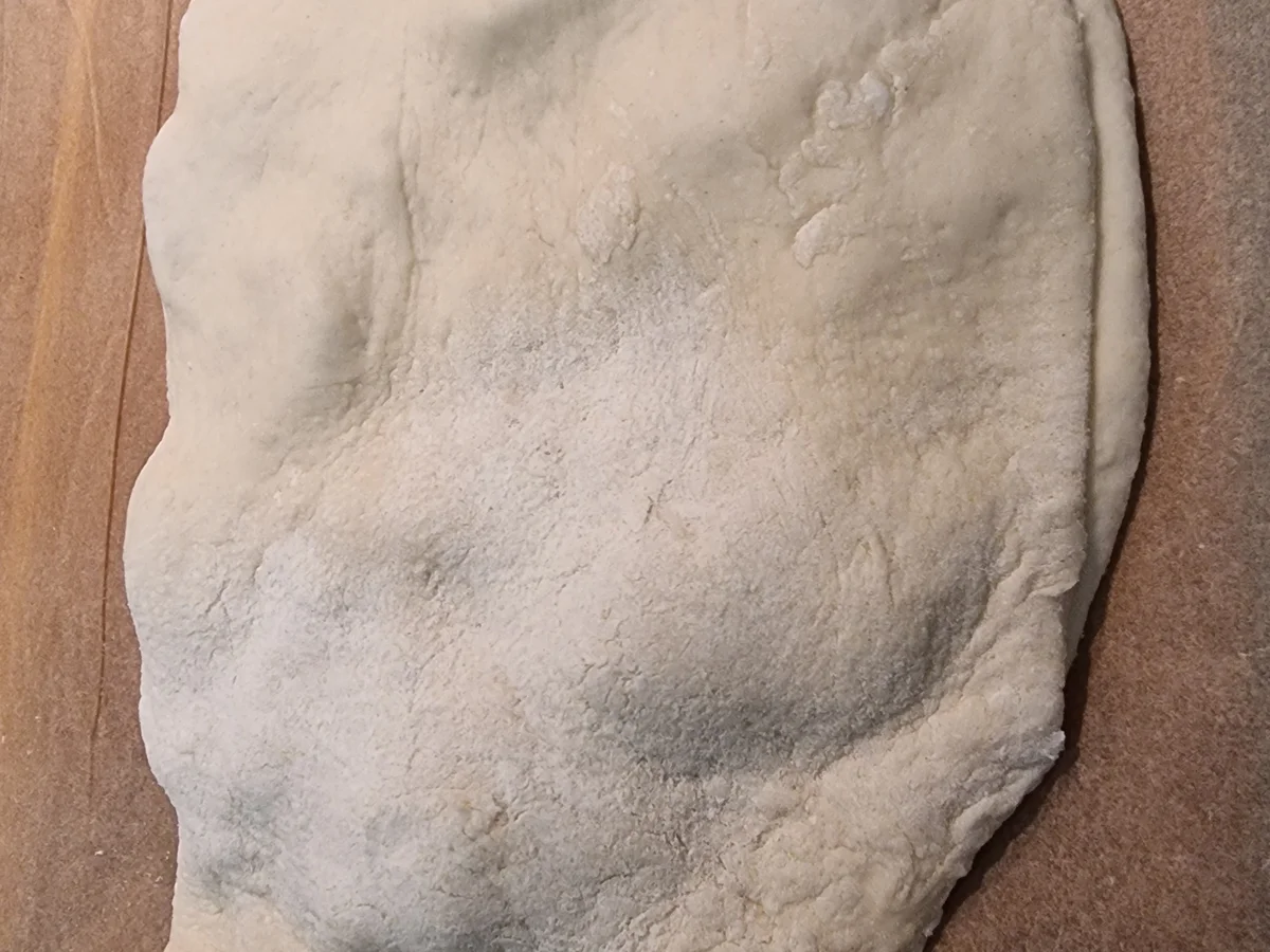 Calzone mit Champignos und Schinken - Rezept - Bild Nr. 16789