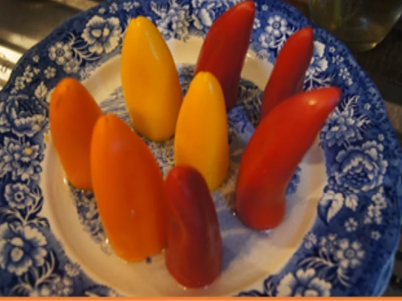 Rezept: Paniertes Schweinesteak mit Champignons und Snack-Paprikas Bild Nr. 16786 Paniertes Schweinesteak mit Champignons und Snack-Paprikas - Rezept - Bild Nr. 16786