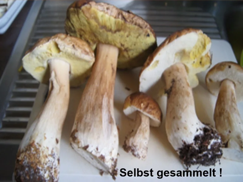 Rezept: Rahm-Steinpilz-Pasta Bild Nr. 3 Rahm-Steinpilz-Pasta - Rezept - Bild Nr. 3