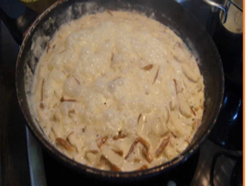 Rezept: Rahm-Steinpilz-Pasta Bild Nr. 10 Rahm-Steinpilz-Pasta - Rezept - Bild Nr. 10