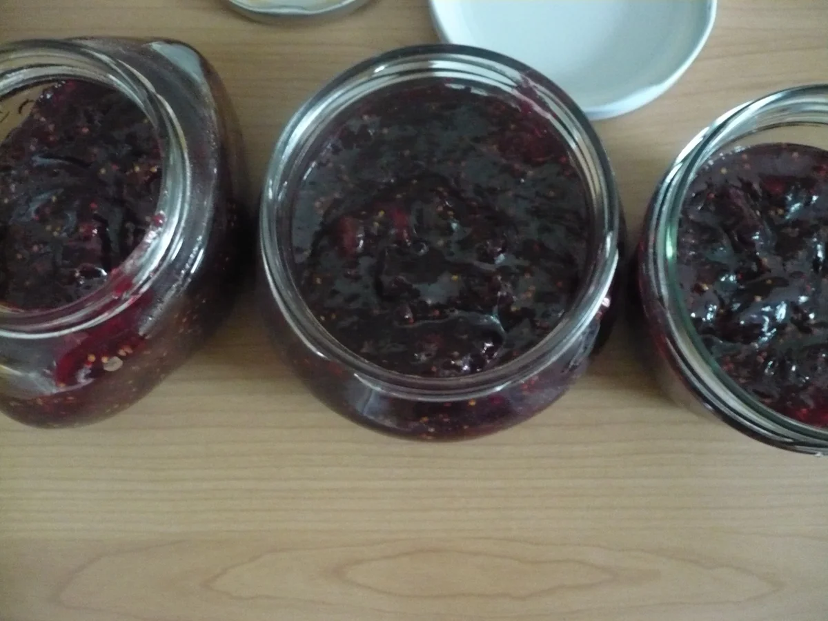 Rezept: Feigenmarmelade mit Rotwein Bild Nr. 16794 Feigenmarmelade mit Rotwein - Rezept - Bild Nr. 16794