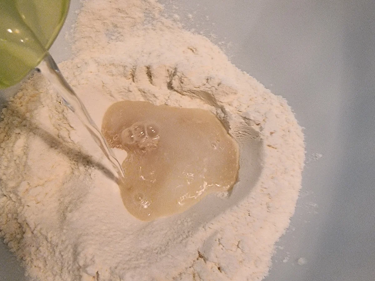 Flammkuchen mit Lachs und Zwiebeln - Rezept - Bild Nr. 16790