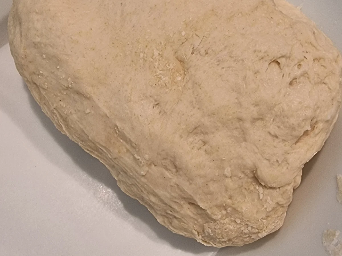 Flammkuchen mit Lachs und Zwiebeln - Rezept - Bild Nr. 16791