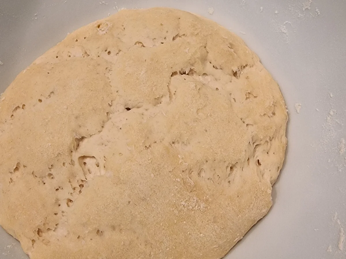 Flammkuchen mit Lachs und Zwiebeln - Rezept - Bild Nr. 16795