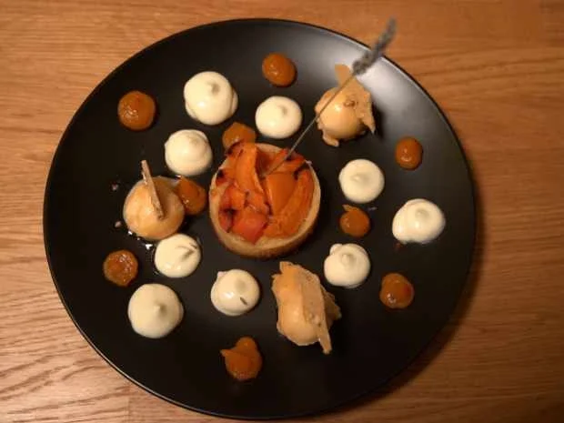 Aprikosentarte an Aprikosen-Bier- Sorbet und Joghurtcreme mit Aprikosengel - Rezept - Bild Nr. 2