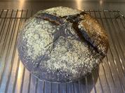 Vollkornbrot mit Thymian und Honig - Rezept - Bild Nr. 2