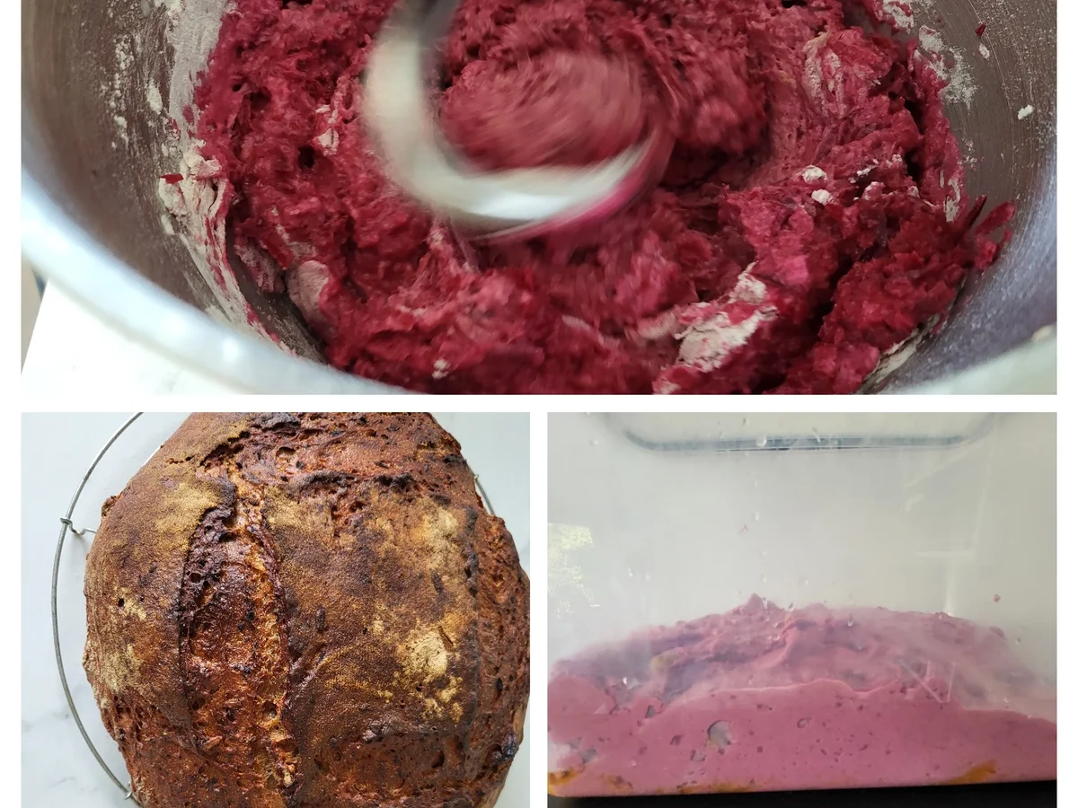 Rezept: Rote Bete Sauerteigbrot Bild Nr. 16811 Rote Bete Sauerteigbrot - Rezept - Bild Nr. 16811