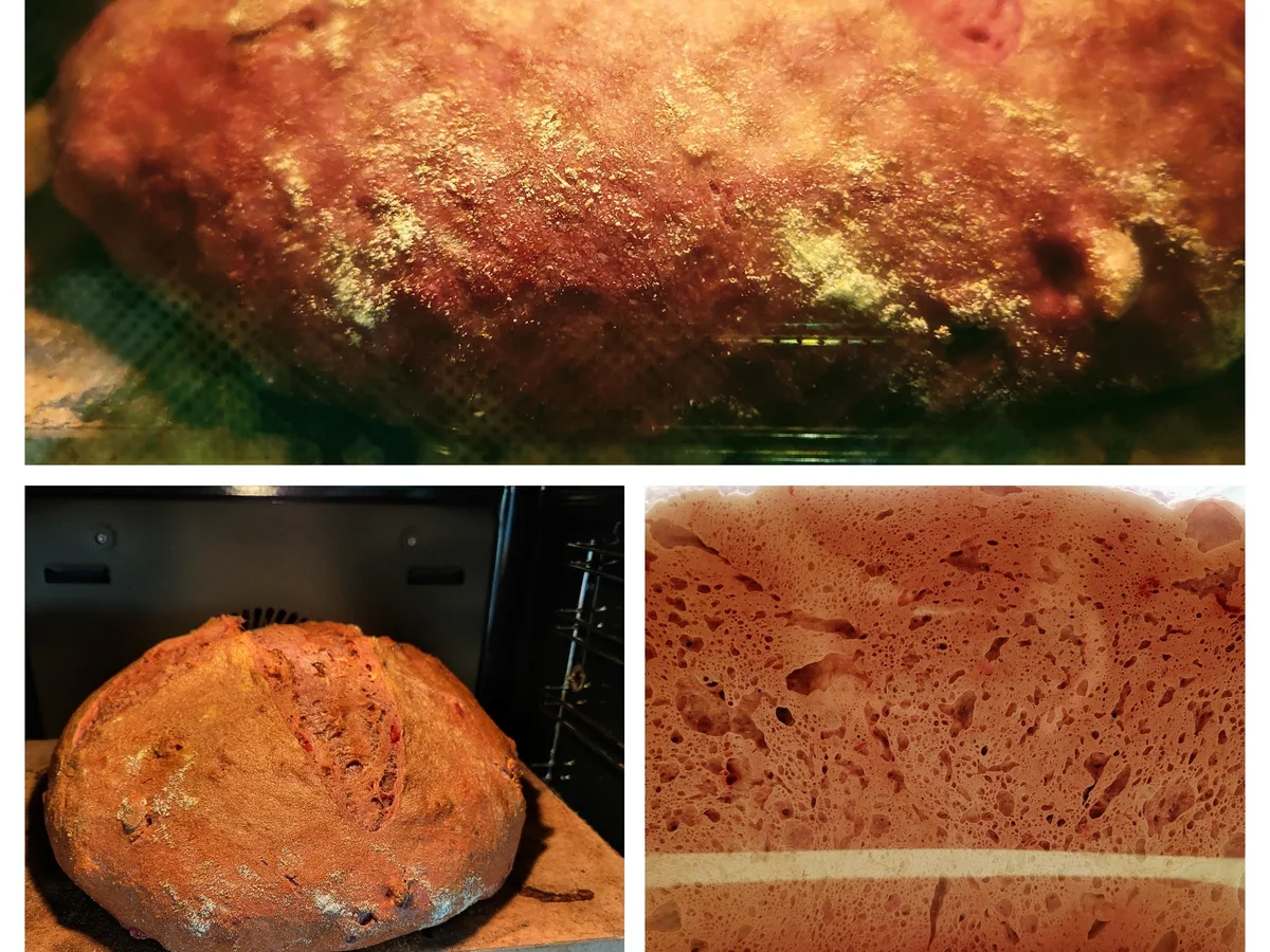 Rezept: Rote Bete Sauerteigbrot Bild Nr. 16810 Rote Bete Sauerteigbrot - Rezept - Bild Nr. 16810