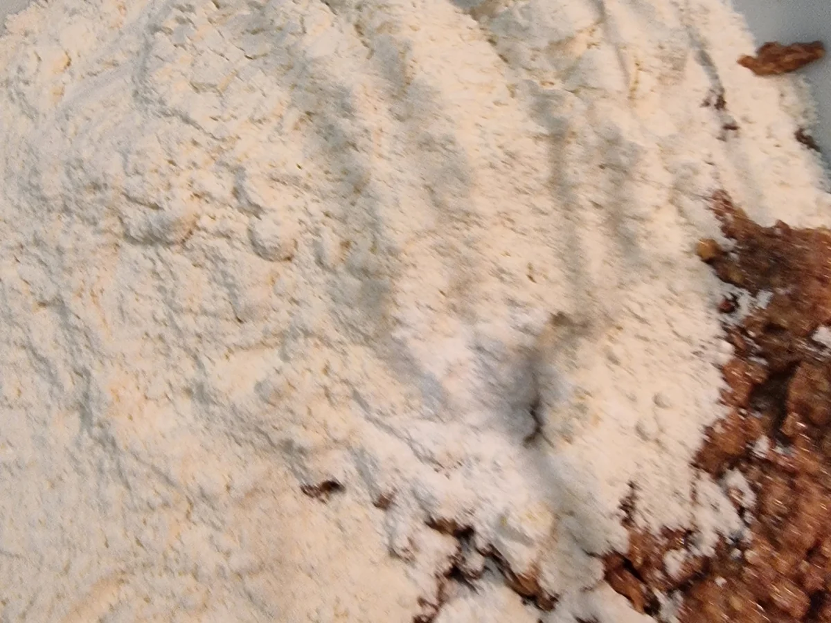 Haselnuss-Schokoladen-Kuchen - Rezept - Bild Nr. 16817