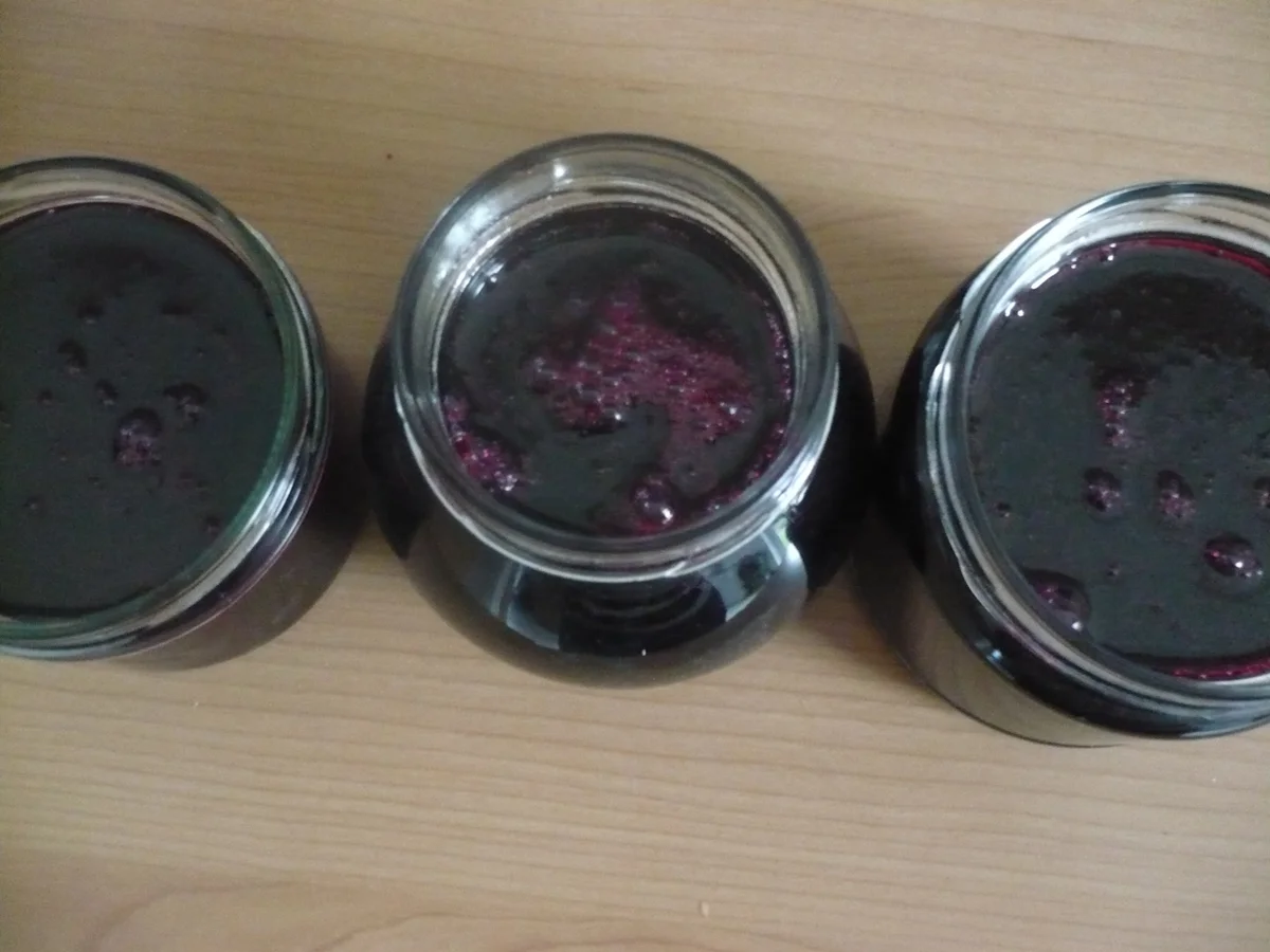 Weintrauben Gelee - Rezept - Bild Nr. 4