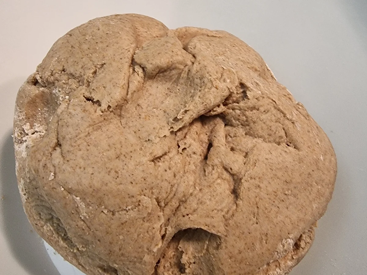 Spinnen-Focaccia - Rezept - Bild Nr. 16812