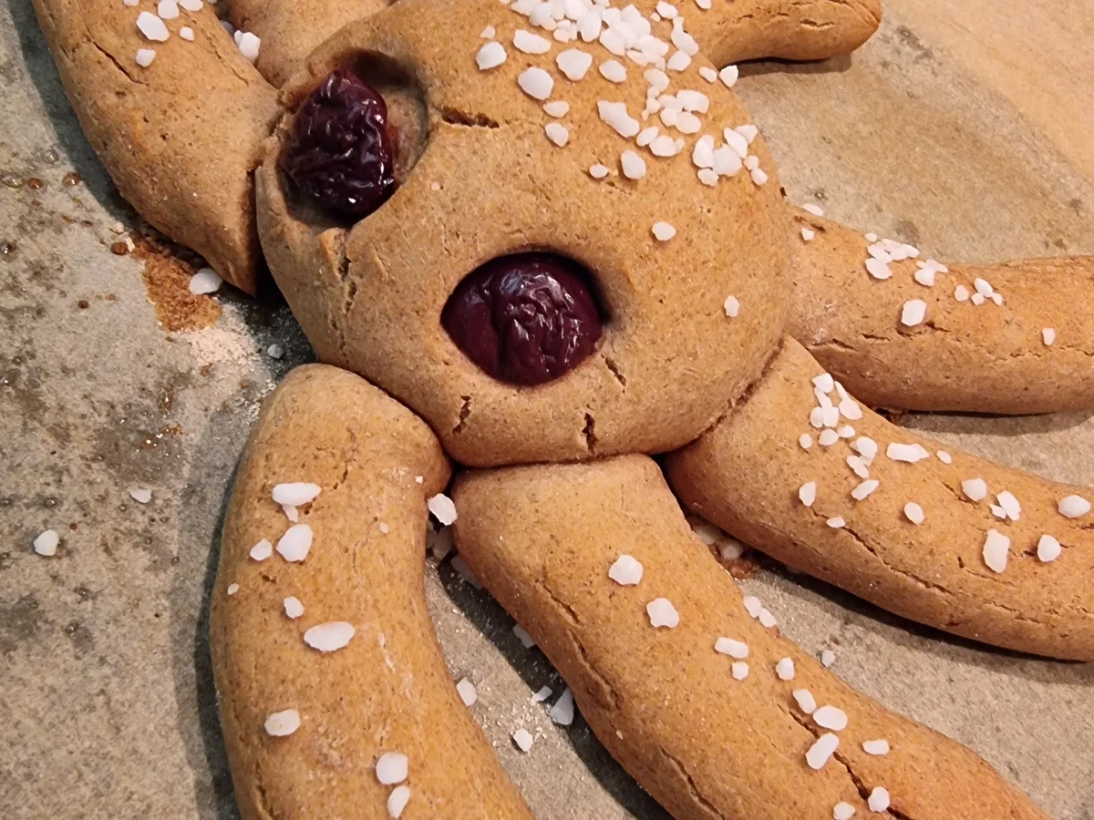 Spinnen-Focaccia - Rezept - Bild Nr. 16819