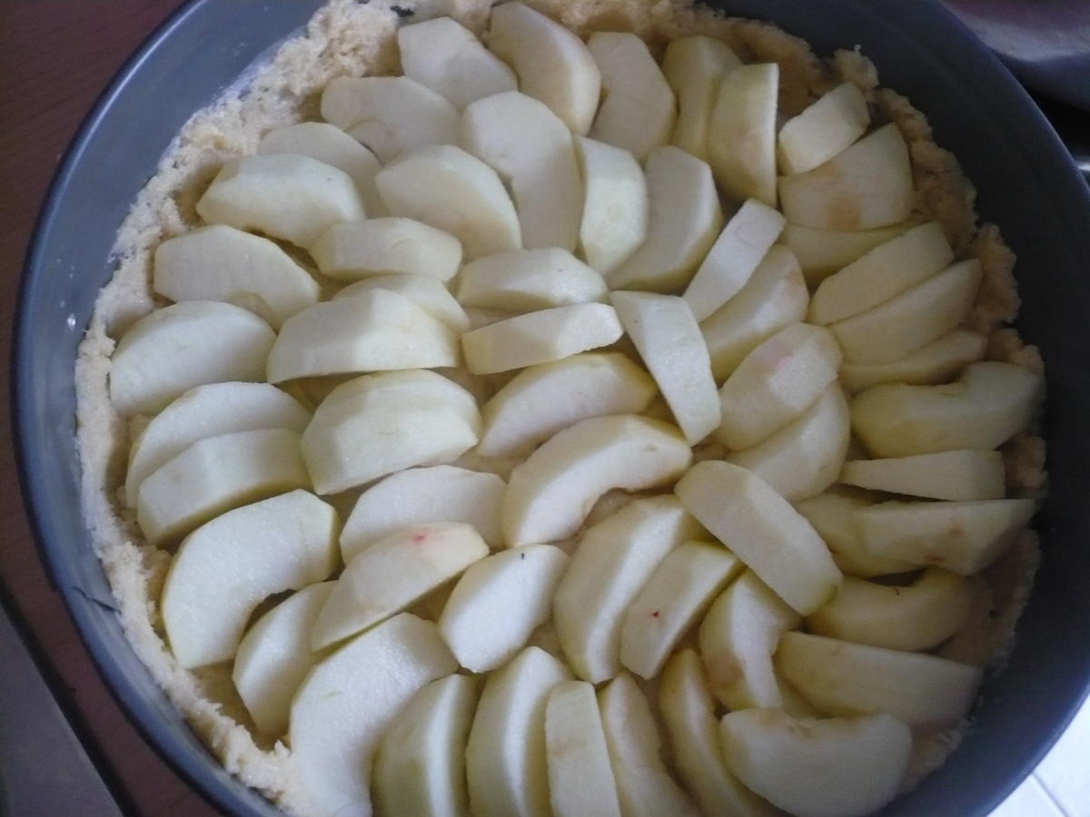 Apfelkuchen mit Pudding, einfaches Grundrezept