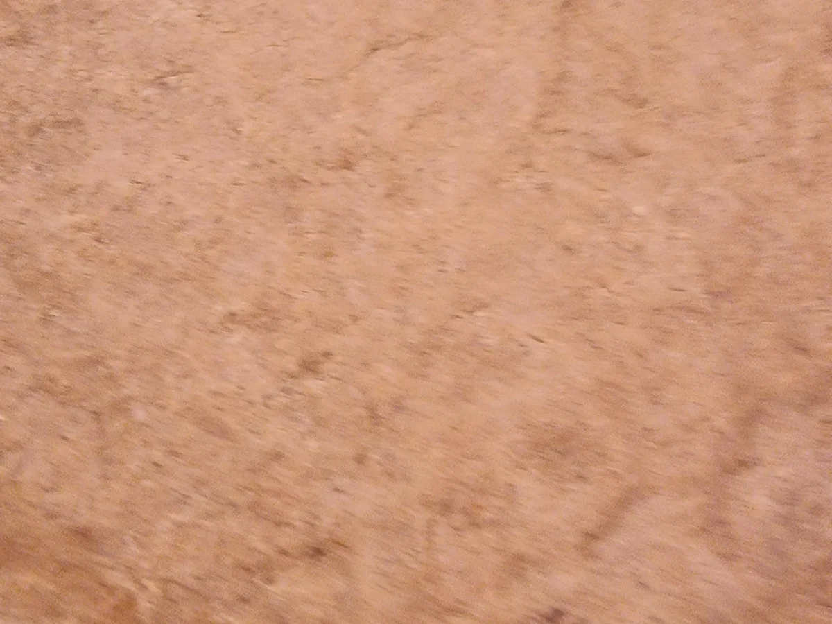 Steinpilz-Quiche - Rezept - Bild Nr. 16834