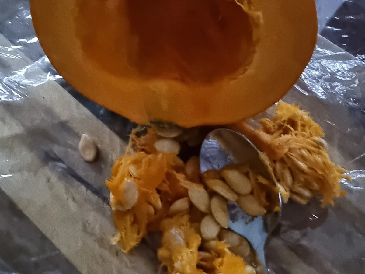 Kürbissuppe - Rezept - Bild Nr. 16831