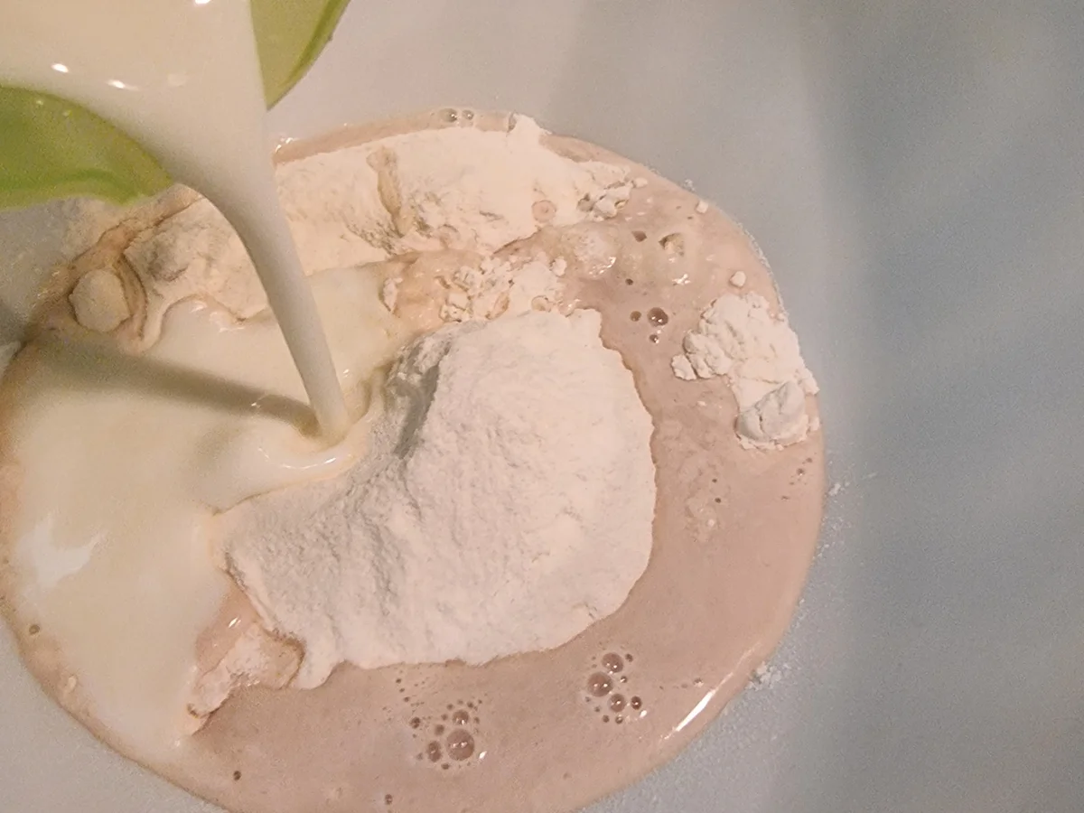 Flammkuchen mit Ricotta-Chili - Rezept - Bild Nr. 16833