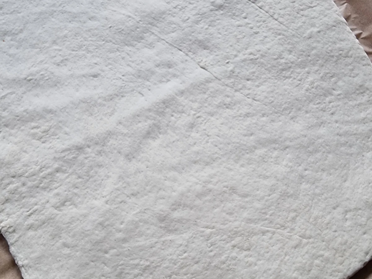 Flammkuchen mit Ricotta-Chili - Rezept - Bild Nr. 16837