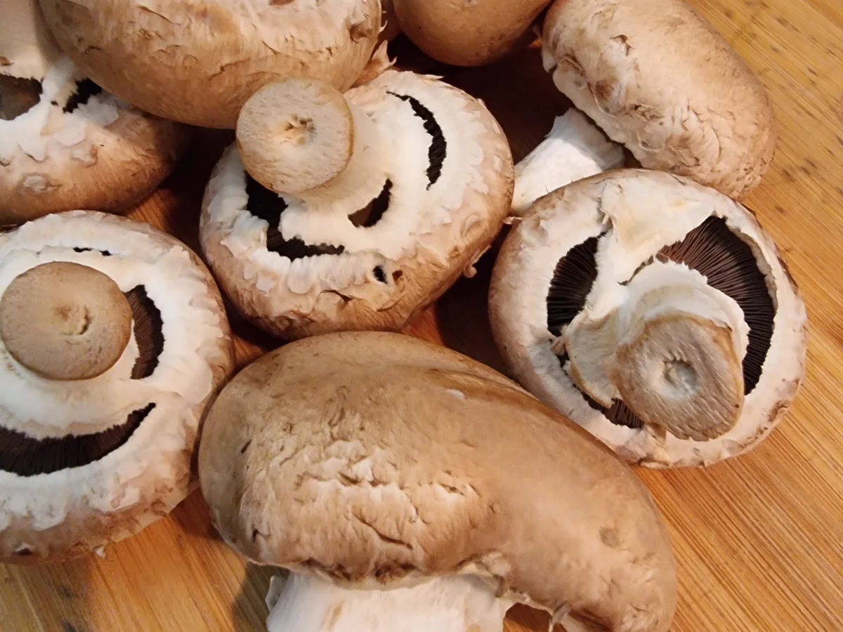 Frikadellen mit Pilzrahmsauce - Rezept - Bild Nr. 16842