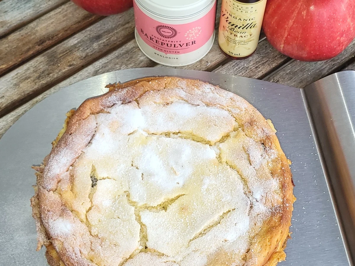 BiNe` S QUARK - APFELKUCHEN - Rezept - Bild Nr. 16832